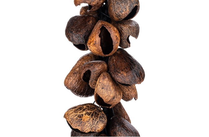 Shaker Meinl Percussion Pangi Waterfall Shaker, 40 Seeds