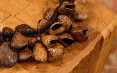 Shaker Meinl Percussion Pangi Waterfall Shaker, 40 Seeds