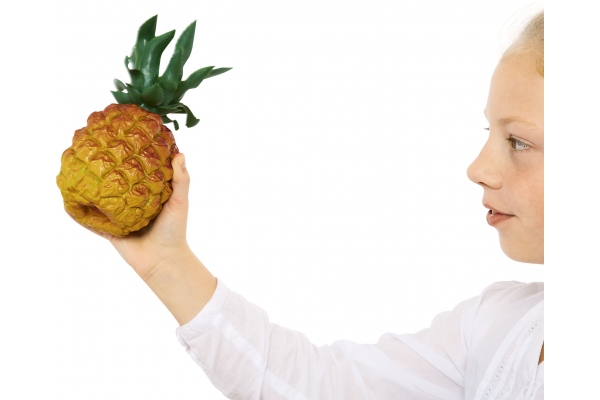 "Pineapple" Shaker