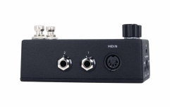 Sincronizator de tempo Walrus Audio Canvas Clock