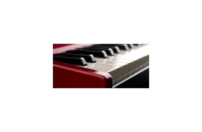Sintetizator / pian de scena Nord Keyboards Nord Electro 5D - 61