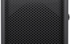 Sistem de amplificare vocală Fonestar Alta Voz 30
