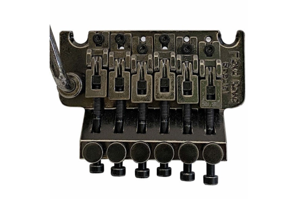 FRTS2000LR - Special Tremolo - Relic Black - Left FRTS2000LR - Special Tremolo - Relic Black - Left