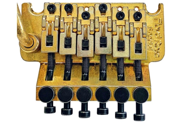 FRTS3000LR - Special Tremolo - Relic Gold - Left FRTS3000LR - Special Tremolo - Relic Gold - Left