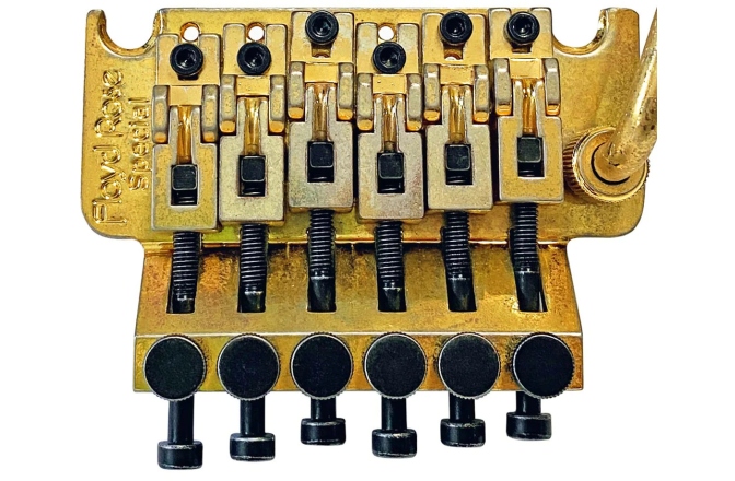 Sistem Floyd-Rose Floyd Rose  FRTS3000R - Special Tremolo - Relic Gold