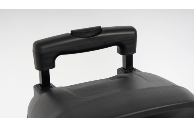 Sistem PA portabil Fonestar	 MALIBU-308 Portable Audio