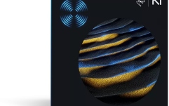 Software audio de înlocuire iZotope RX 11 Advanced Audio Restoration Software (Download)