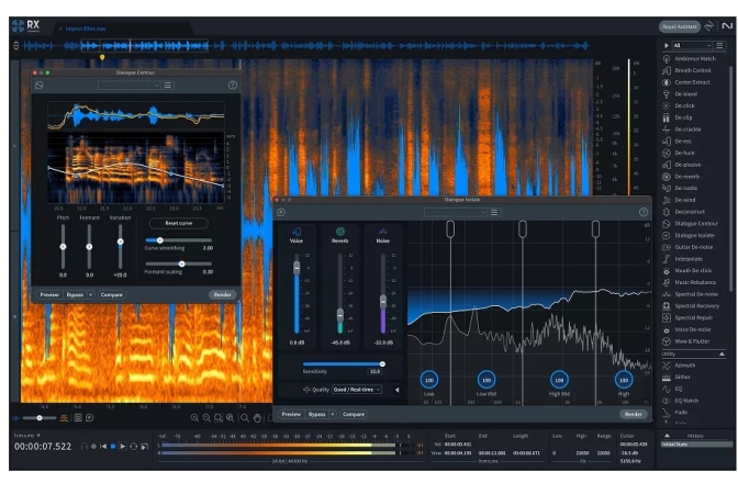 Software audio de înlocuire iZotope RX 11 Advanced Audio Restoration Software (Download)