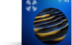 Software audio de înlocuire iZotope RX 11 Standard Audio Restoration Software (Download)