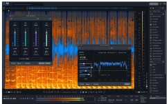 Software audio de înlocuire iZotope RX 11 Standard Crossgrade (Download)