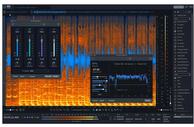 Software audio de înlocuire iZotope RX 11 Standard Crossgrade (Download)