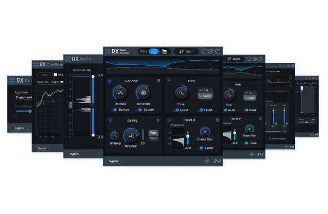 Software restaurare audio iZotope RX 11 Elements Audio Restoration Software (Download)