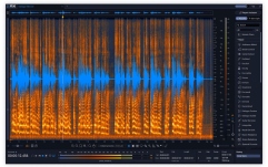 Софтуер за възстановяване на аудио iZotope RX 12 Advanced Audio Restoration Software (Download)