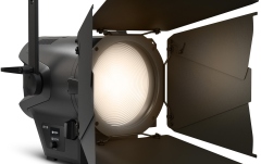 Spot de Teatru  Cameo F2 T IP