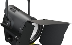 Spot Fresnel  Cameo F2 D PO