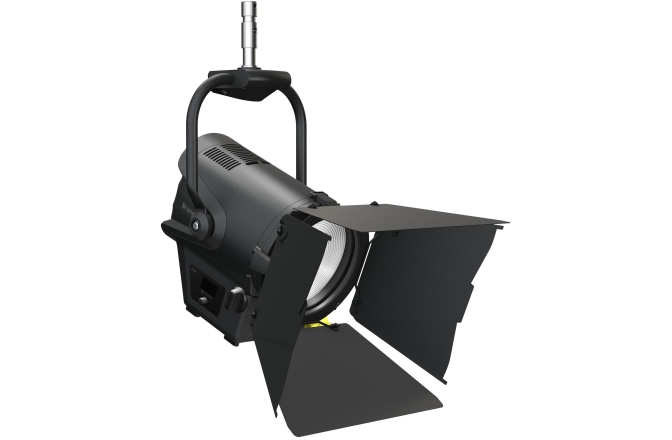 Spot Fresnel  Cameo F2 D PO