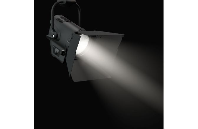 Spot Fresnel  Cameo F2 D PO