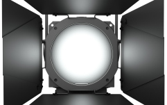 Spot Fresnel  Cameo F4 D