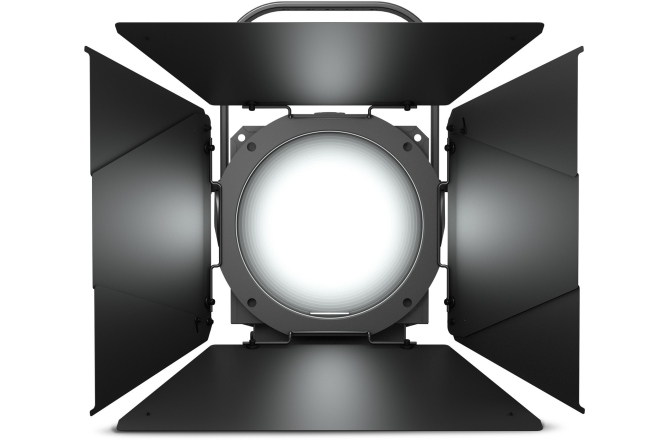 Spot Fresnel  Cameo F4 D