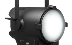 Spot Fresnel  Cameo F4 D