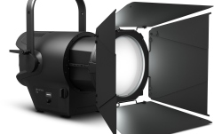 Spot Fresnel  Cameo F4 D