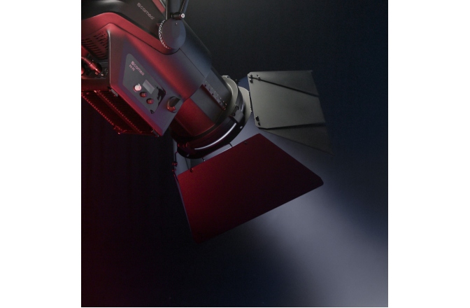 Spot Fresnel  Cameo F4 D