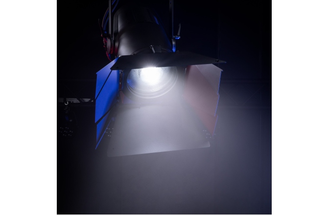 Spot Fresnel  Cameo F4 D