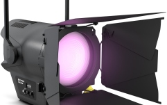 Spot Fresnel  Cameo F4 FC PO IP