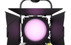 Spot Fresnel  Cameo F4 FC PO IP