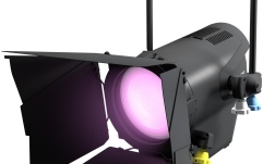 Spot Fresnel  Cameo F4 FC PO IP