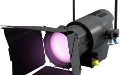 Spot Fresnel  Cameo F4 FC PO IP
