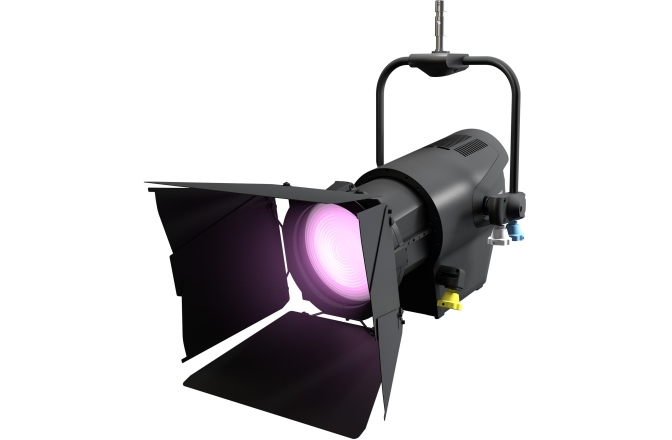 Spot Fresnel  Cameo F4 FC PO IP