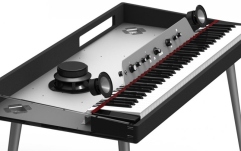 Stage Piano Waldorf Zarenbourg