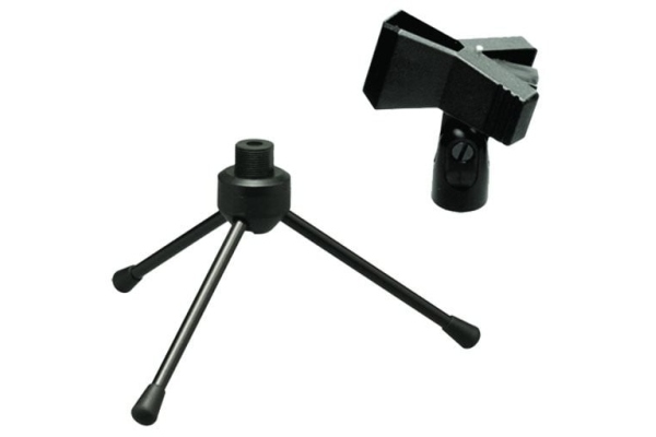DS011