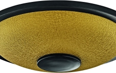 Steel drum Meinl Sonic Energy Small ST Drum C Minor, 8 Notes - Gold / 7"/18 cm