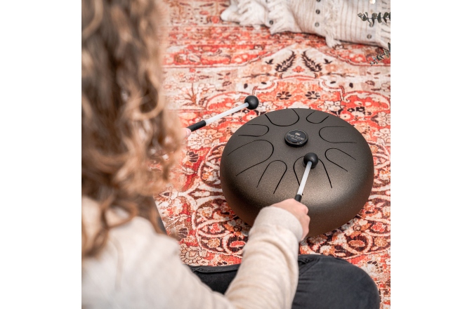 Steel Tongue  Meinl Sonic Energy Steel Tongue Drum Vintage Brown - A Minor