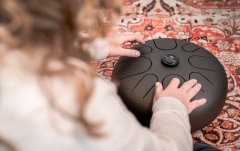 Steel Tongue  Meinl Sonic Energy Steel Tongue Drum Vintage Brown - A Minor