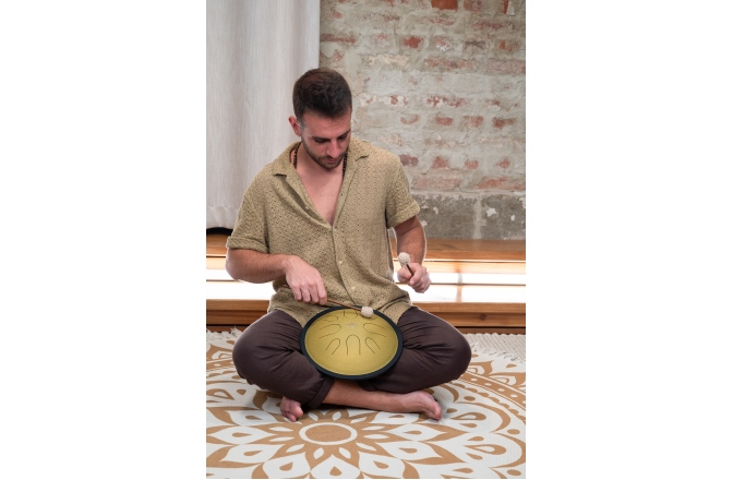 Steel Tongue RE minor Meinl Sonic Energy 10'' Compact Steel Tongue Drum, D Minor, 8 Notes, 432 Hz, Gold