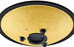Steel Tongue RE minor Meinl Sonic Energy 10'' Compact Steel Tongue Drum, D Minor, 8 Notes, 432 Hz, Gold
