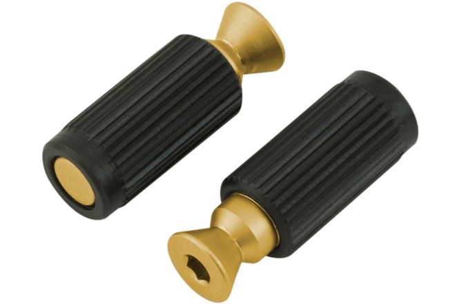 Știfturi / șuruburi FloydRose Floyd Rose  FRBMMSISGP - Original Bridge Mounting Studs and Inserts - Satin Gold