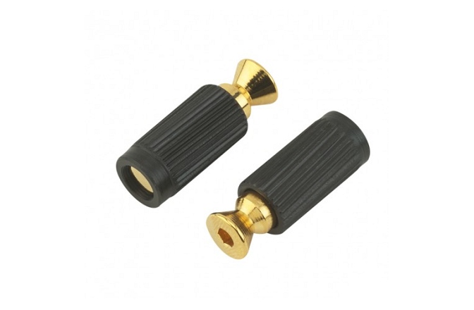 Știfturi / șuruburi montare bridge Floyd Rose  FRBMMSIGP - Original Bridge Mounting Studs and Inserts - Gold