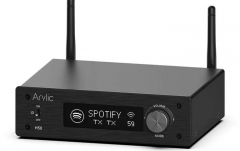 Streamer audio cu amplificare Rakoit Arylic H50 2x50W BT HDMI