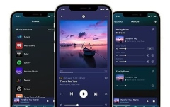 Streamer audio WiiM Pro Plus