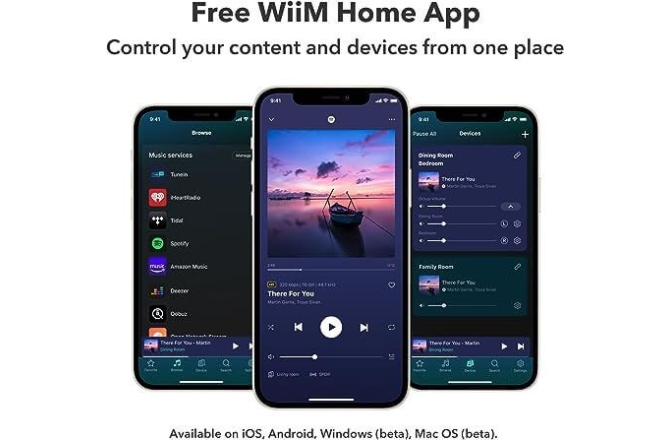 Streamer audio WiiM Pro Plus