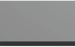 Streamer audio  WiiM Ultra DAC