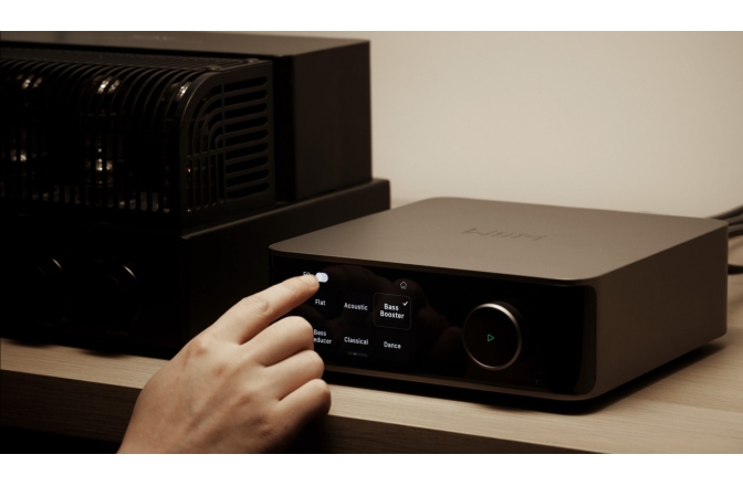 Streamer audio  WiiM Ultra DAC