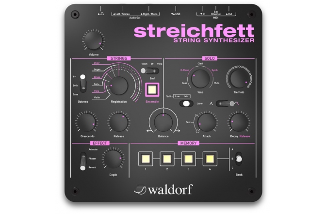 String synthesizer Waldorf Streichfett