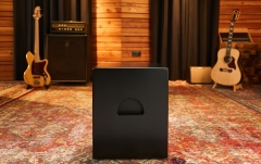 Subwoofer Cajon electro-acustic Meinl Vertical Subwoofer Pickup Cajon - Baltic Birch