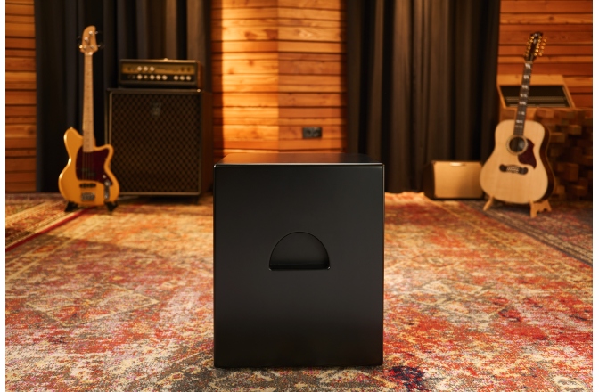 Subwoofer Cajon electro-acustic Meinl Vertical Subwoofer Pickup Cajon - Baltic Birch