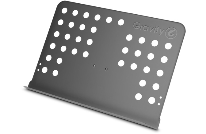 Suport pentru parituri Gravity NS MS 01